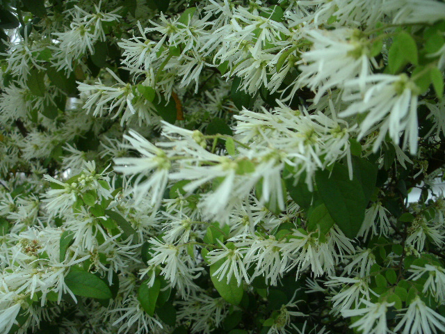 20140410164657