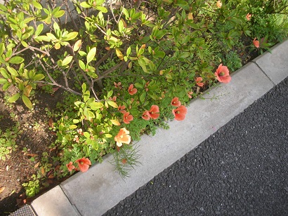 f:id:hanabiranoumi:20190418084412j:plain f:id:hanabiranoumi:20190418084412j:plain