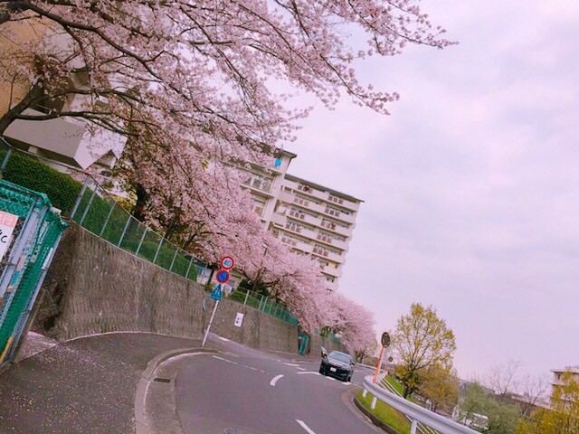 f:id:hanabito2018:20180912080230j:image