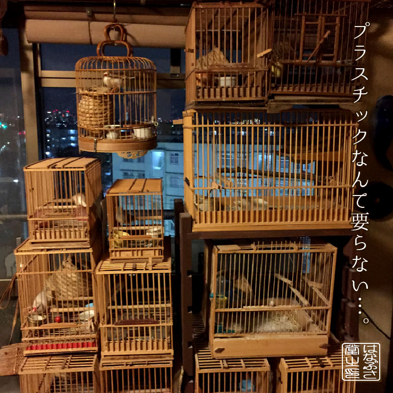 f:id:hanabusa_do:20170225224355j:plain f:id:hanabusa_do:20170225224355j:plain