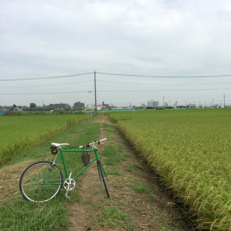 f:id:hanabusa_do:20170913172203j:plain f:id:hanabusa_do:20170913172203j:plain