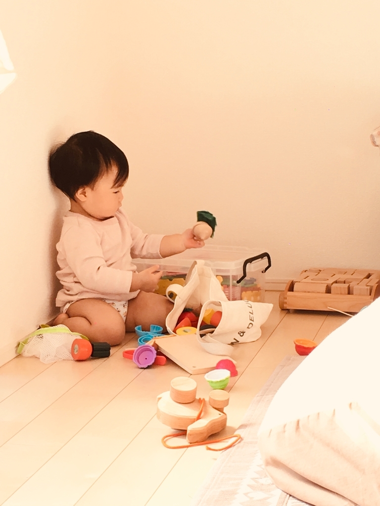f:id:hanacham:20190116221118j:plain