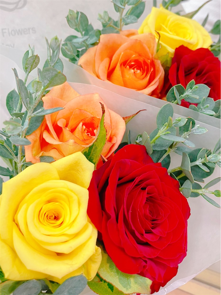 f:id:hanachan114:20241103201210j:image f:id:hanachan114:20241103201210j:image