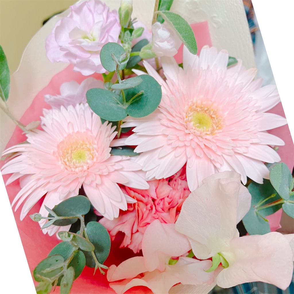 f:id:hanachan114:20241117211712j:image f:id:hanachan114:20241117211712j:image