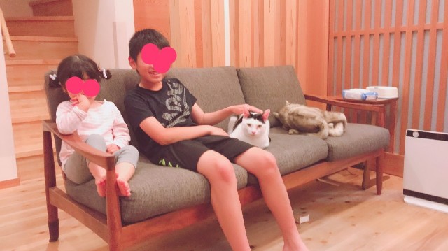 f:id:hanachan3939:20190512065824j:image f:id:hanachan3939:20190512065824j:image