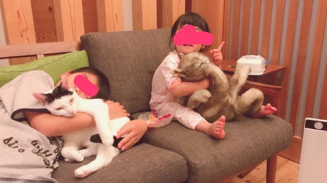 f:id:hanachan3939:20190512071044j:image f:id:hanachan3939:20190512071044j:image