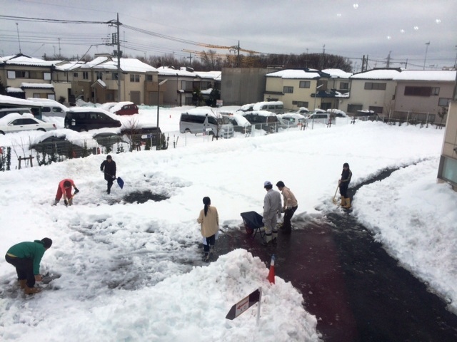 イメージ 5