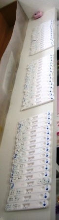 イメージ 2