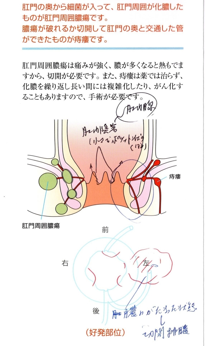 f:id:hanachan777:20210130213754j:plain