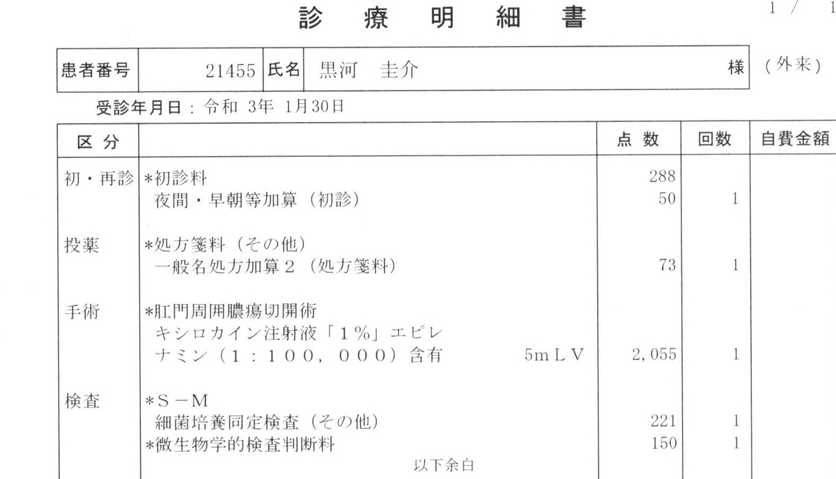 f:id:hanachan777:20210130213756j:plain