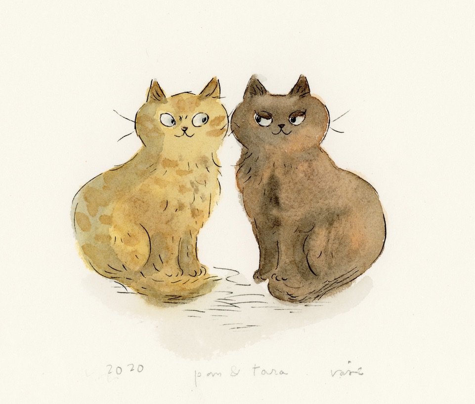 f:id:hanaco-mori:20201126160231j:plain