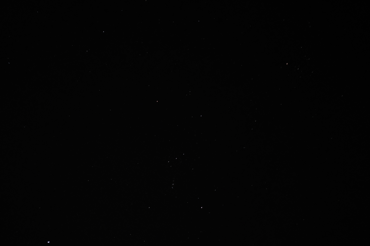 f:id:hanaco-mori:20201217170737j:plain
