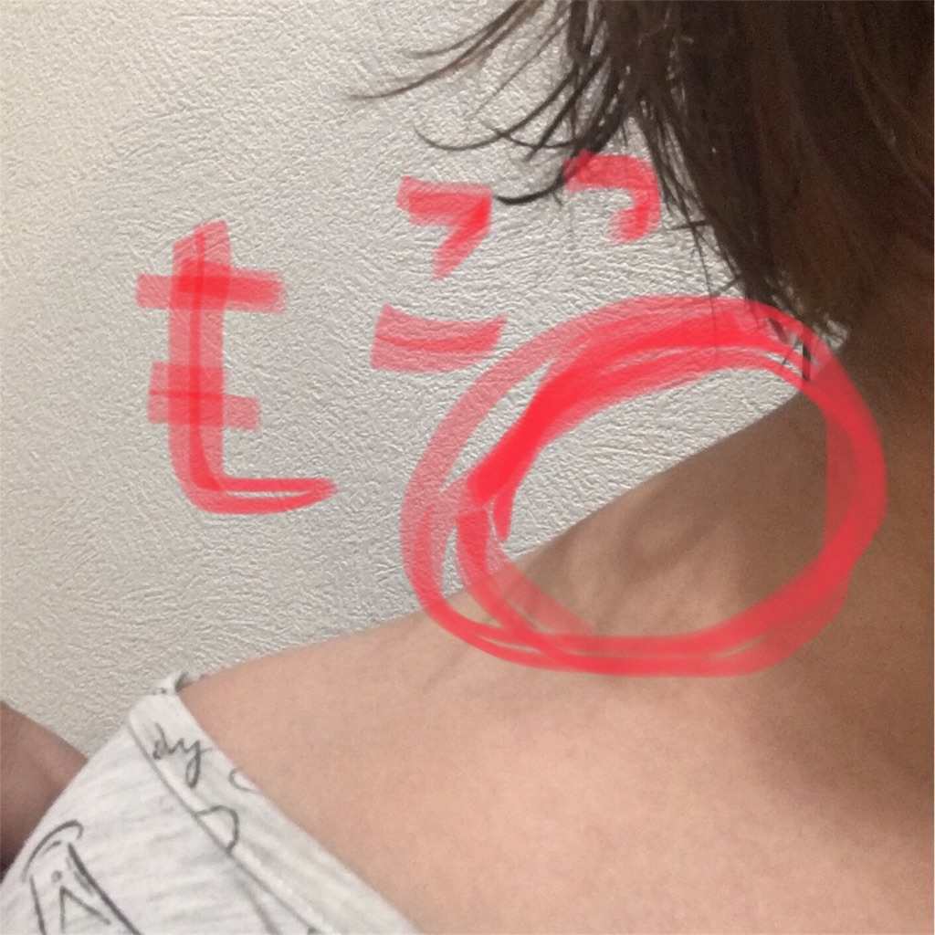 f:id:hanacoglory:20180526214422j:image f:id:hanacoglory:20180526214422j:image
