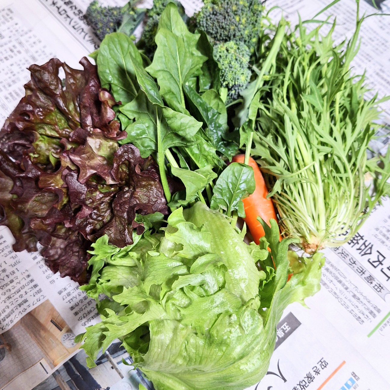 f:id:hanacolormy:20250401133112j:image