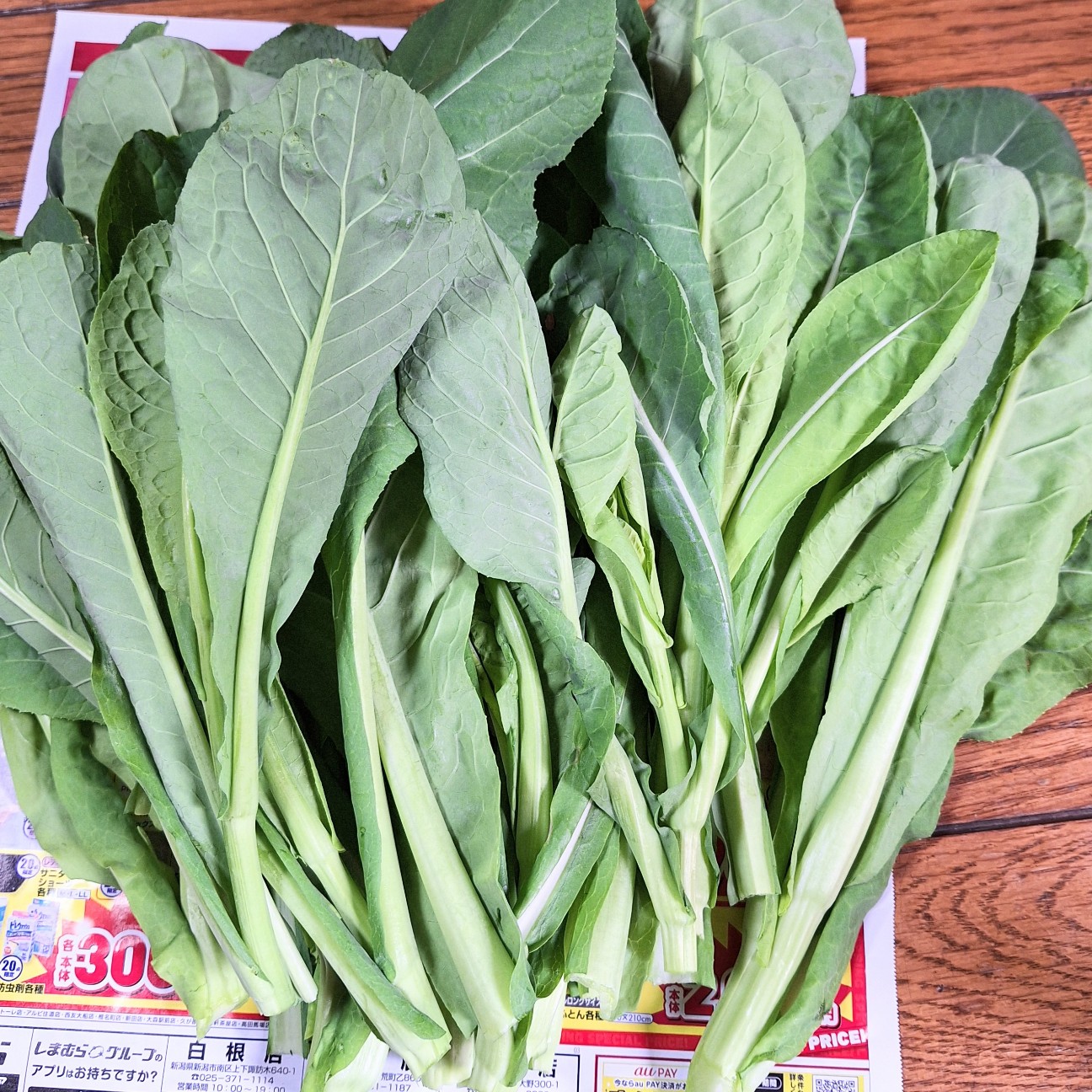 f:id:hanacolormy:20250401133149j:image