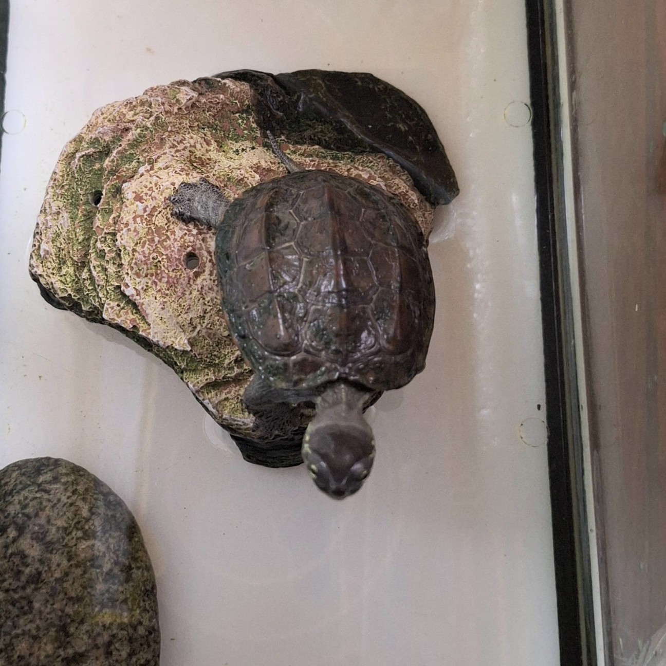 f:id:hanacolormy:20250413000956j:image