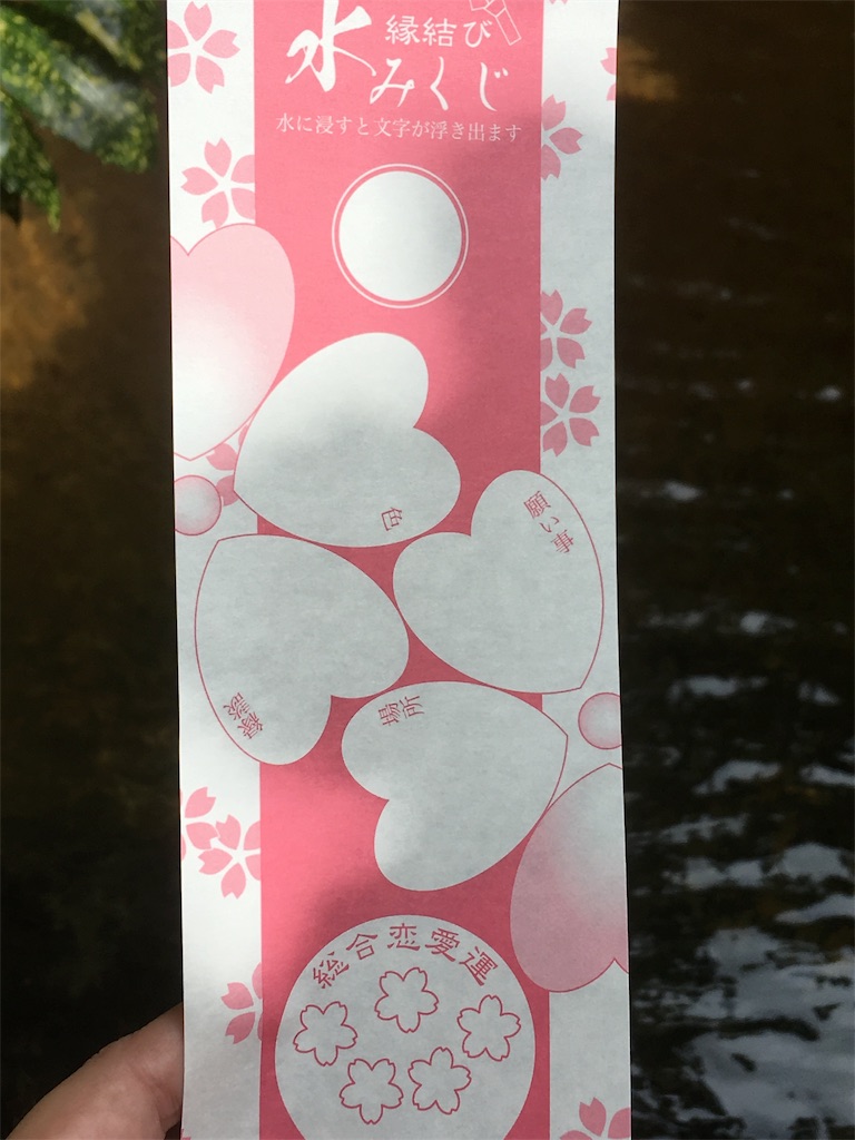 f:id:hanaconoda:20190712145322j:image f:id:hanaconoda:20190712145322j:image