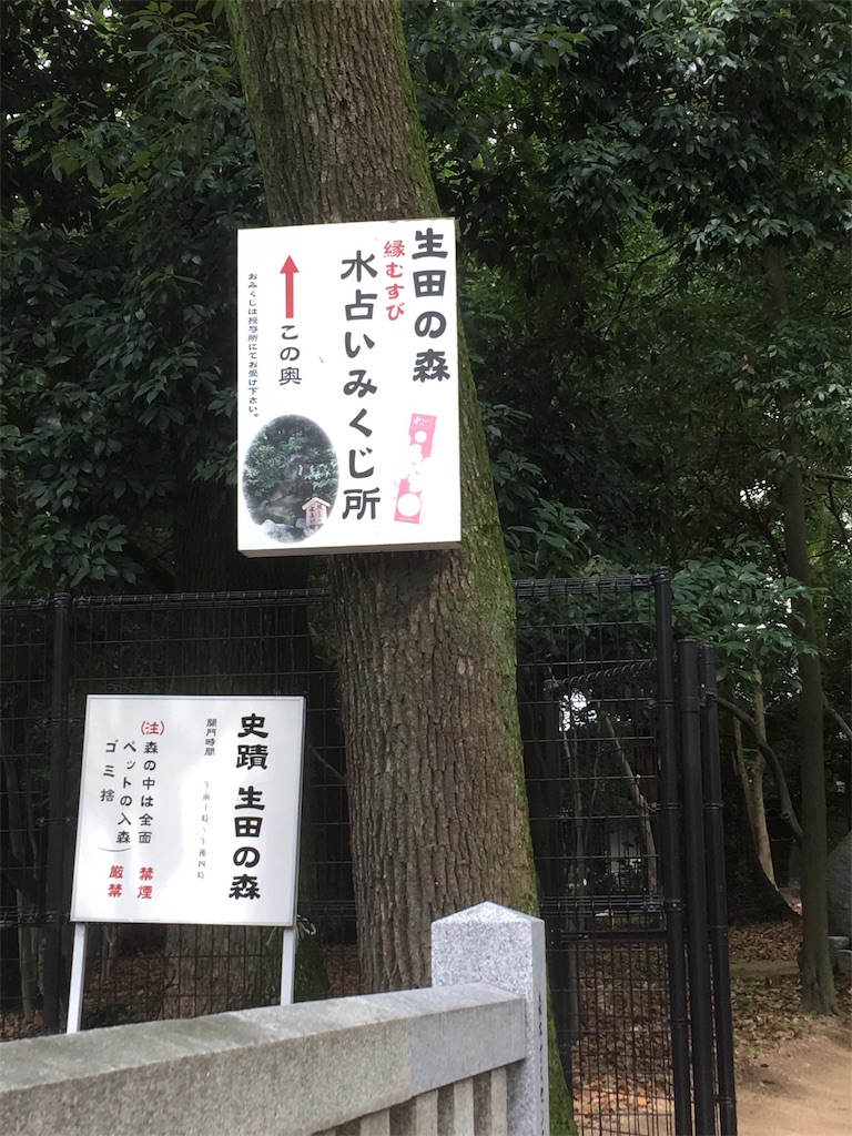 f:id:hanaconoda:20190712145349j:image f:id:hanaconoda:20190712145349j:image