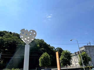IMG_1113.jpeg
