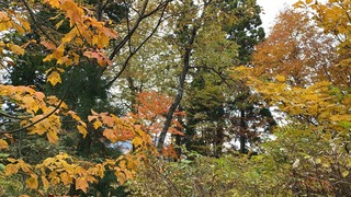 IMG_1372.jpg