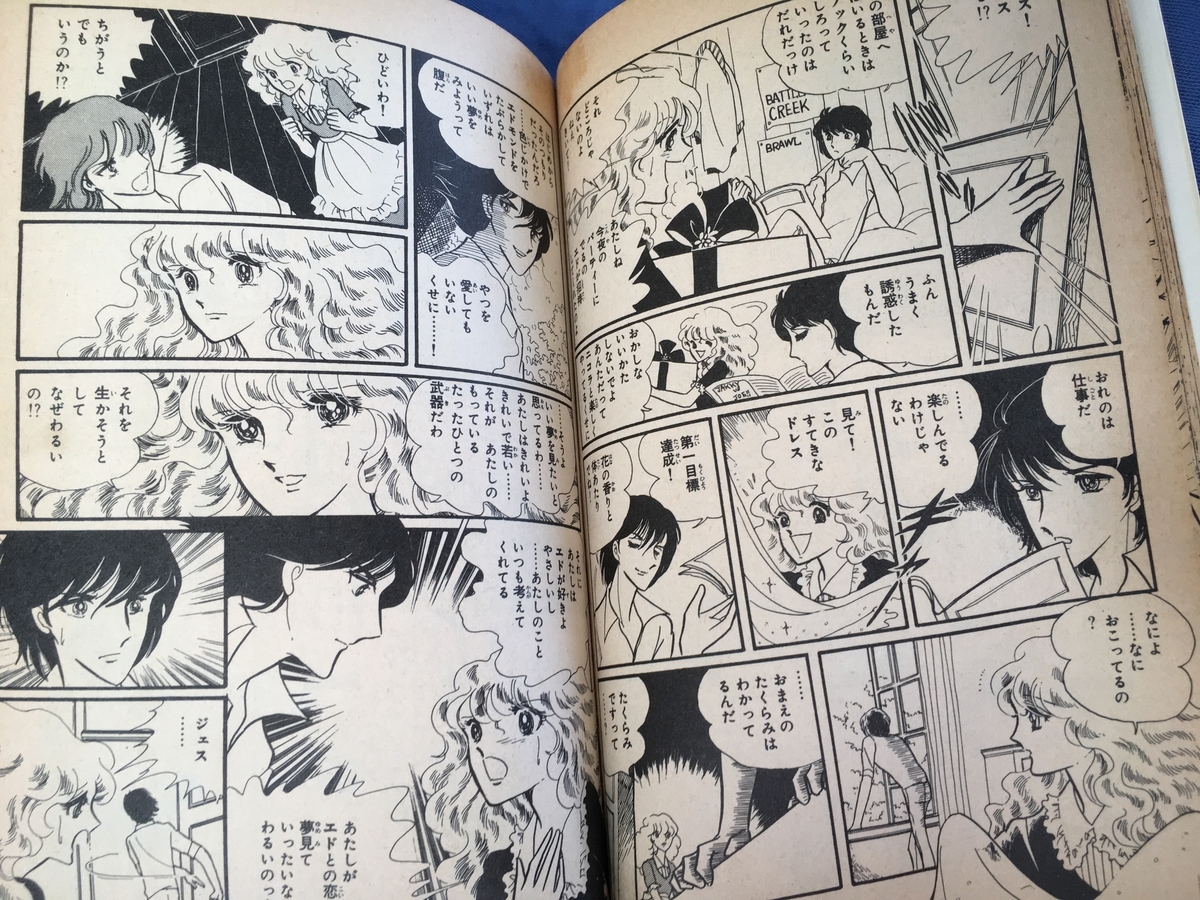 サンデイズチャイルド アランナとジェスの気持ち 昭和の少女漫画と私 サンデイズチャイルド アランナとジェスの気持ち 昭和の少女漫画と私