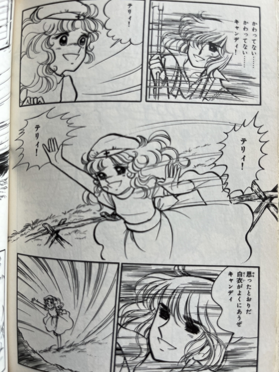すれ違いばかりのキャンディとテリィが一番幸せだった頃 - くるみDiary