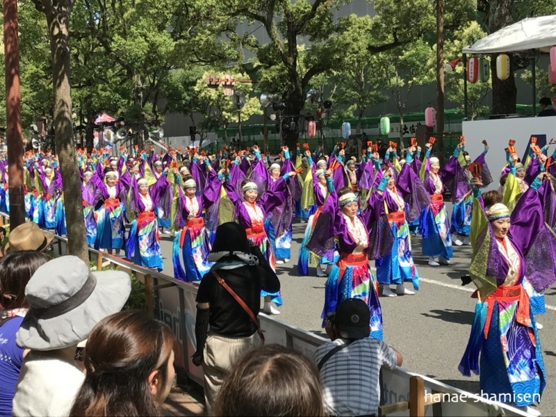 f:id:hanaekiryuin:20170813011017j:plain f:id:hanaekiryuin:20170813011017j:plain
