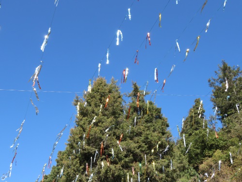f:id:hanaemi2017:20181230203212j:plain