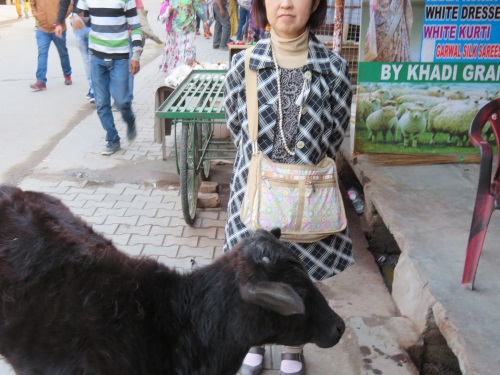 f:id:hanaemi2017:20181230203745j:plain