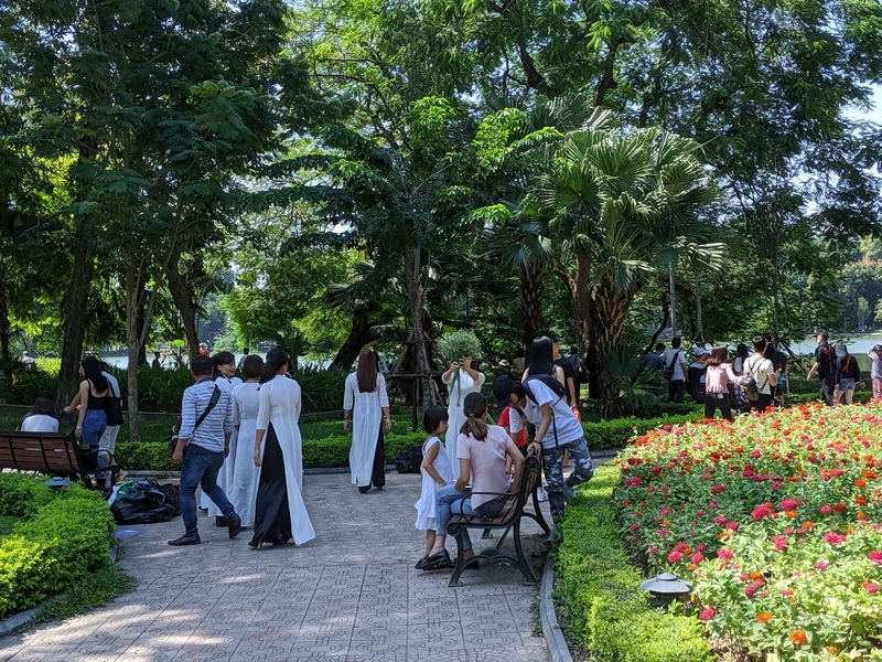 f:id:hanafukeyo87:20191104171434j:plain