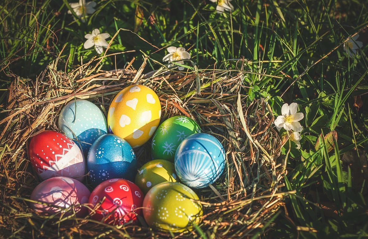 f:id:hanagardener:20190418213546j:plain f:id:hanagardener:20190418213546j:plain