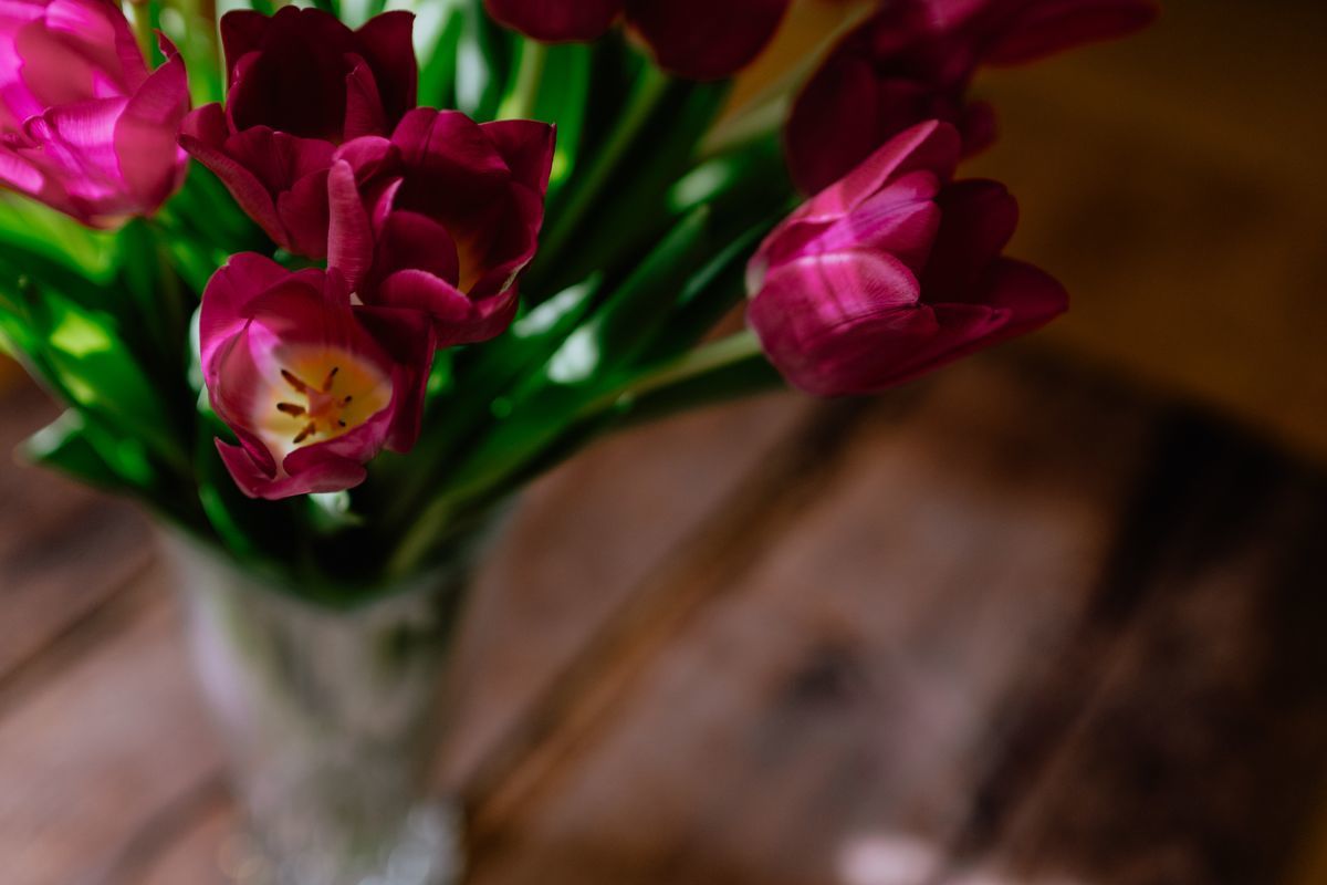 f:id:hanagardener:20210413221542j:plain