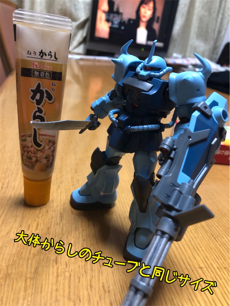 Hg 1 144 グフカスタム 制作レビュー ガンダムマーカー流し込みスミ入れペン編 ちゃんプラ製作所 ﾉ