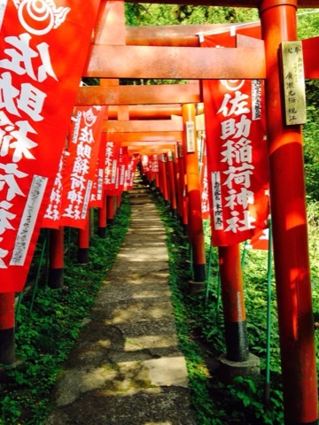 f:id:hanagelong:20170502135920j:image