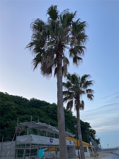 f:id:hanageru:20221226193343j:image