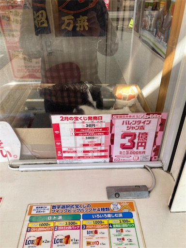 f:id:hanageru:20230208210908j:image