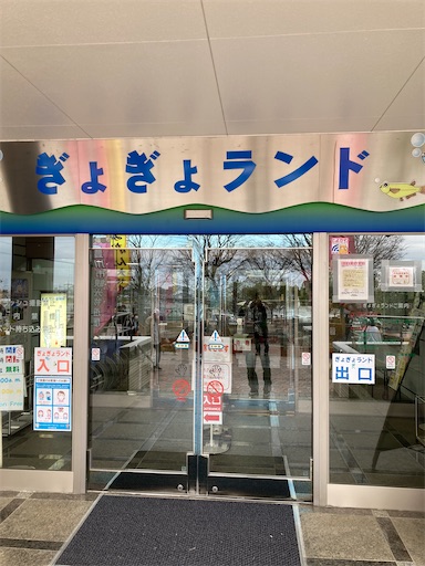 f:id:hanageru:20230312181111j:image