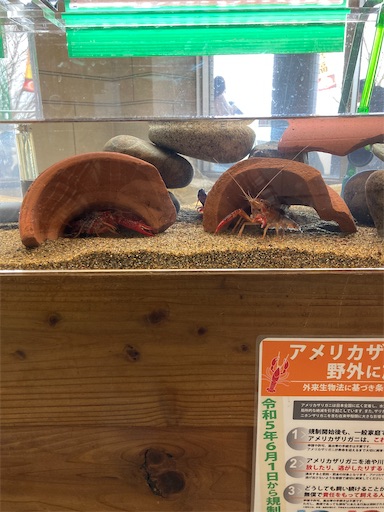 f:id:hanageru:20230312181657j:image