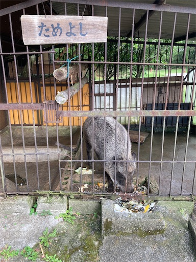 f:id:hanageru:20230821122747j:image