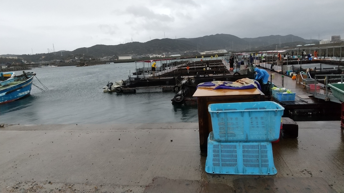 f:id:hanagon02:20200402234606j:plain