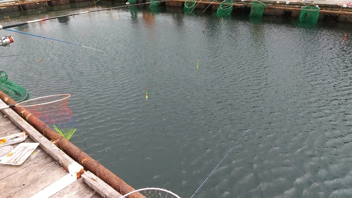 f:id:hanagon02:20200403234650j:plain