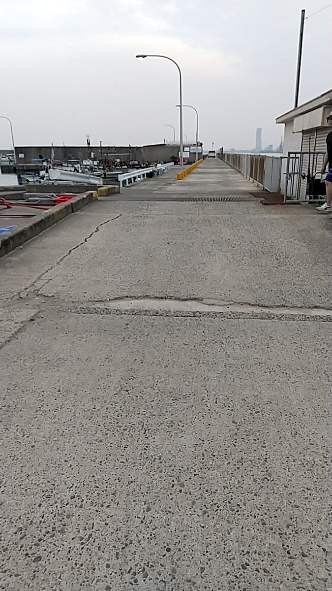 f:id:hanagon02:20200608220038j:plain