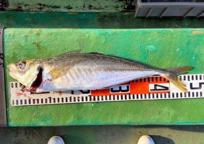 f:id:hanagon02:20200609211711j:plain