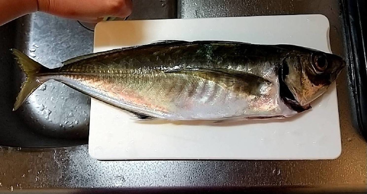 f:id:hanagon02:20210518072541j:plain