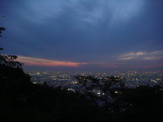 f:id:hanagonta:20090518191426j:image
