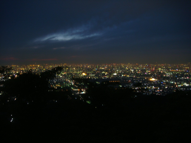 f:id:hanagonta:20090518192442j:image