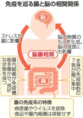 f:id:hanahana1220:20190224194014j:plain