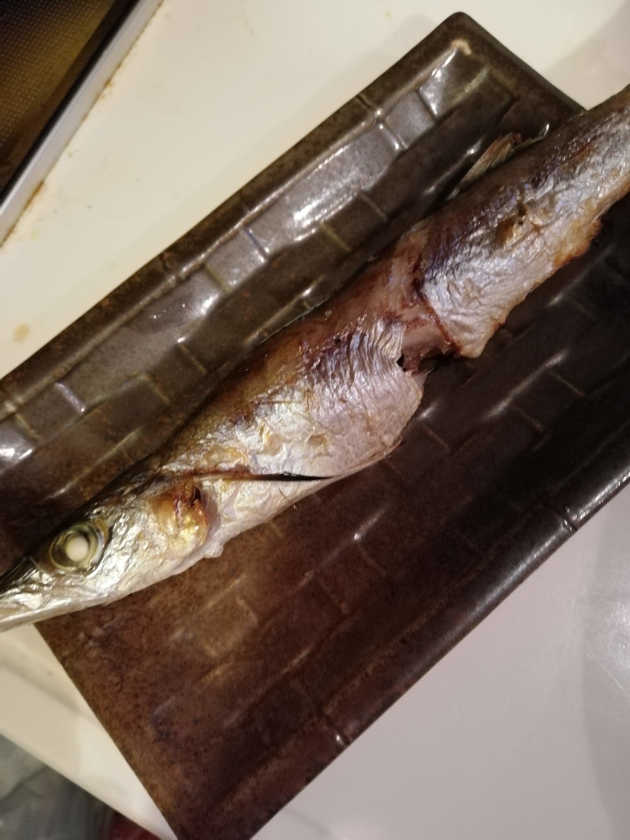 f:id:hanahana87p:20191201194802j:plain
