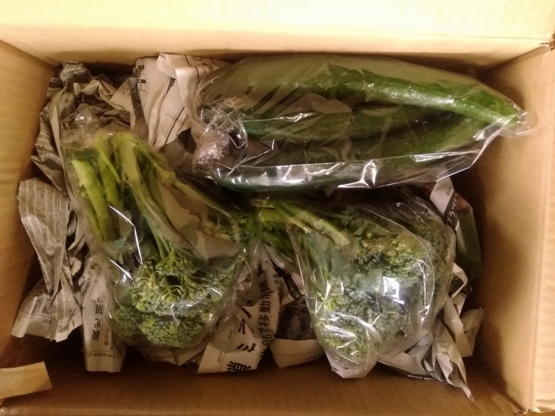 f:id:hanahirako:20200409163342j:plain