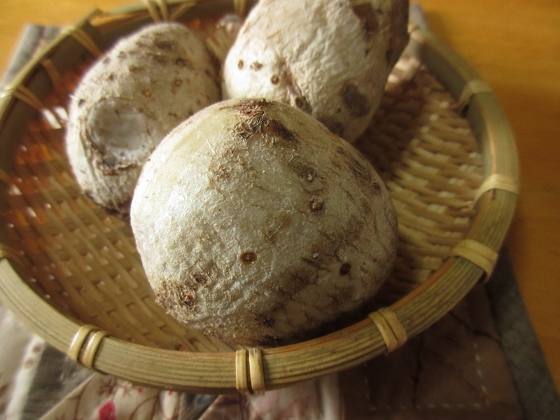 f:id:hanahirako:20200414000052j:plain